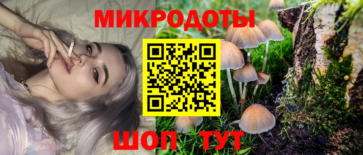 Псилоцибиновые грибы мицелий Вязьма