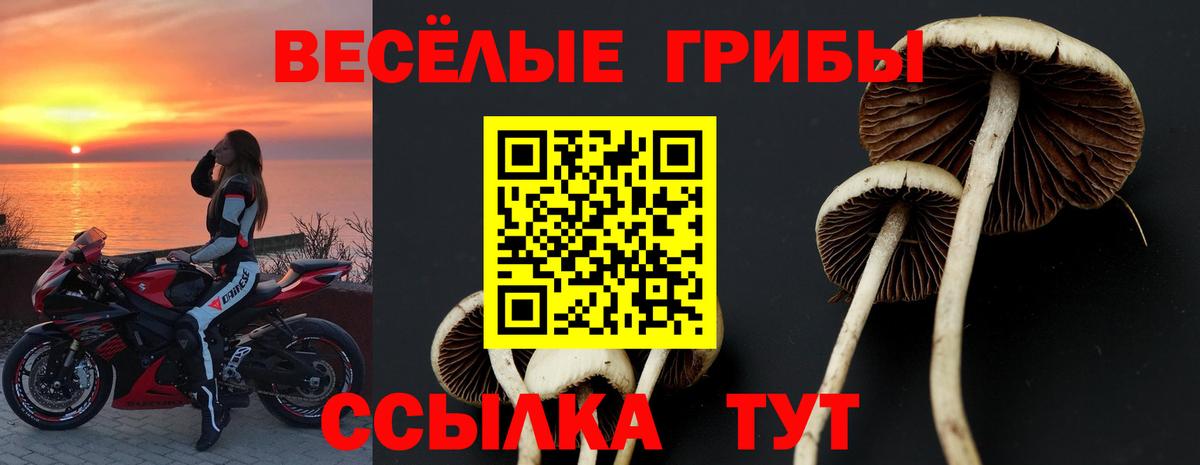 Вязьма  Галлюциногенные грибы Psilocybine cubensis  Вход с VPN 